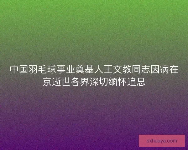 中国羽毛球事业奠基人王文教同志因病在京逝世各界深切缅怀追思